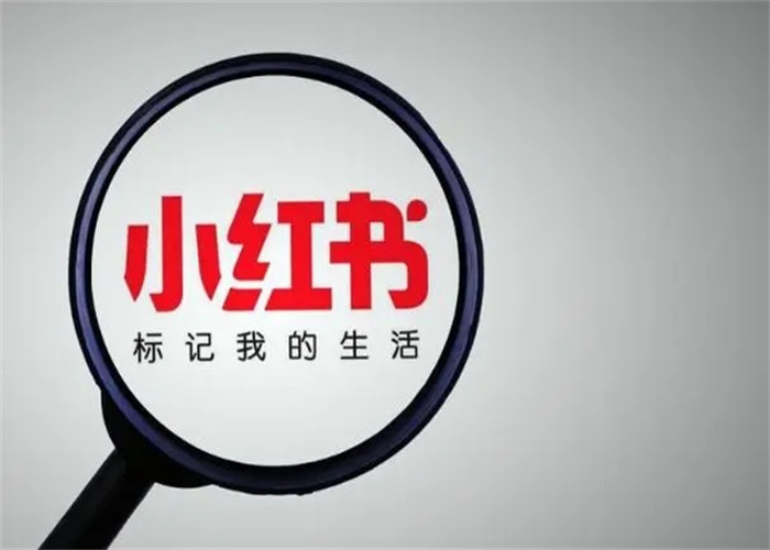 小紅書廣告KOC與KOL投放指南