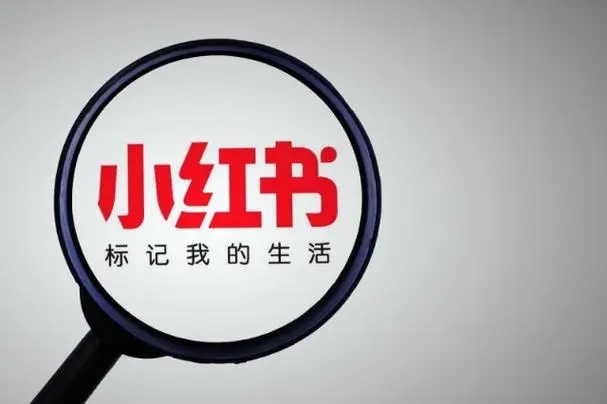 小紅書廣告KOC與KOL投放指南(圖1)